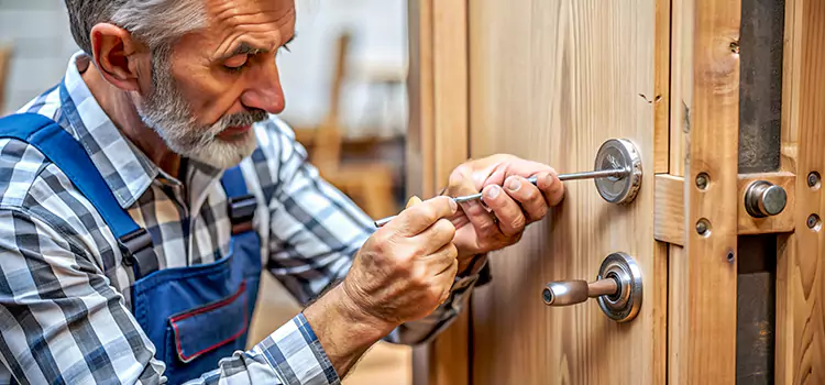 Mortise Replacement Lock Petersburg